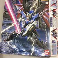 MG-Z.A.F.T.-ZGMF-X42S-デスティニーガンダム-1/100完成品